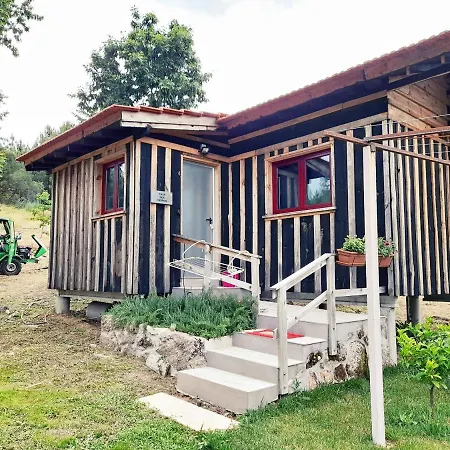 Casa das Aveleiras - Sátão Vila de Igreja Exterior foto
